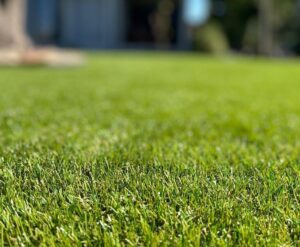 Kunstgras Extreem 400cm breed