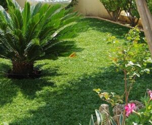 Kunstgras Premium 400cm breed